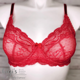 Bra Pattern, Amethyst Lace Bra Pattern, Bra-Makers Supply